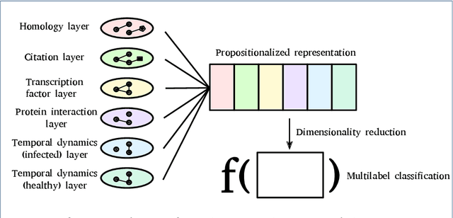Figure 4 for DDeMON: Ontology-based function prediction by Deep Learning from Dynamic Multiplex Networks