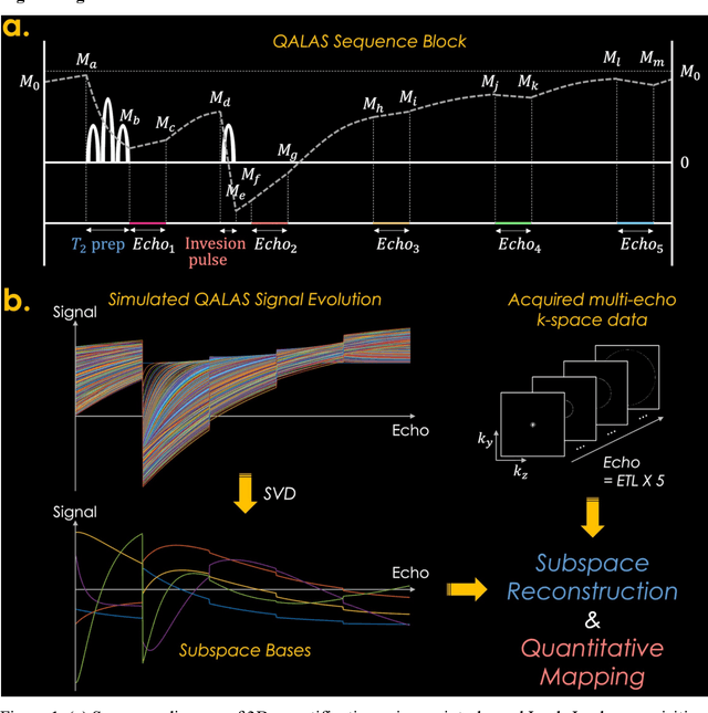 Figure 1 for Zero-DeepSub: Zero-Shot Deep Subspace Reconstruction for Rapid Multiparametric Quantitative MRI Using 3D-QALAS
