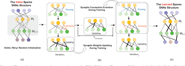 Figure 1 for ESL-SNNs: An Evolutionary Structure Learning Strategy for Spiking Neural Networks