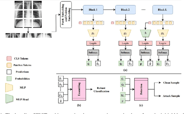 Figure 1 for On enhancing the robustness of Vision Transformers: Defensive Diffusion