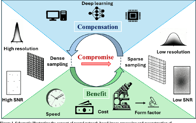 Figure 1 for Neural Network-Based Processing and Reconstruction of Compromised Biophotonic Image Data