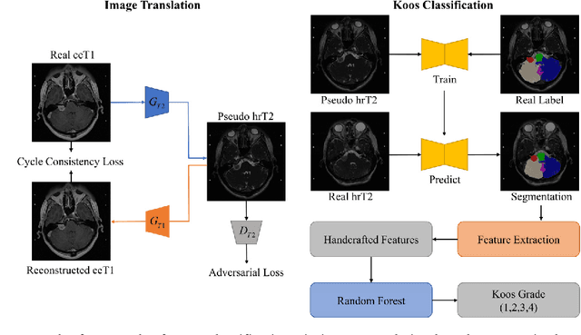 Figure 3 for Koos Classification of Vestibular Schwannoma via Image Translation-Based Unsupervised Cross-Modality Domain Adaptation