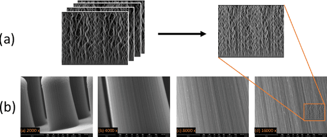 Figure 3 for Predicting mechanical properties of Carbon Nanotube (CNT) images Using Multi-Layer Synthetic Finite Element Model Simulations