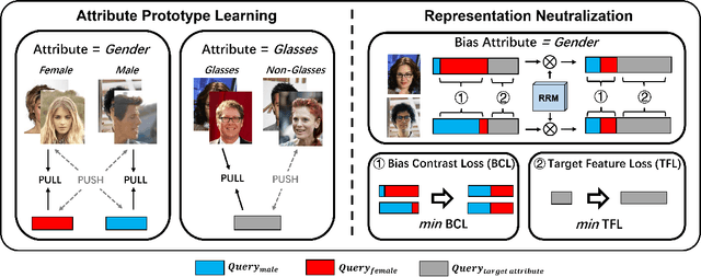 Figure 3 for FairCLIP: Social Bias Elimination based on Attribute Prototype Learning and Representation Neutralization