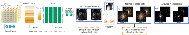 Figure 1 for Spatiotemporal implicit neural representation for unsupervised dynamic MRI reconstruction