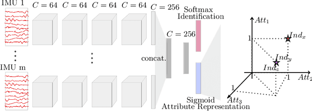 Figure 2 for Multi-Channel Time-Series Person and Soft-Biometric Identification