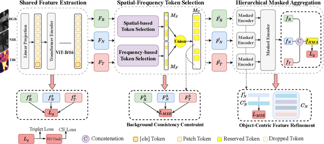 Figure 3 for Magic Tokens: Select Diverse Tokens for Multi-modal Object Re-Identification