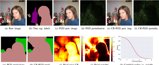 Figure 1 for A Certified Radius-Guided Attack Framework to Image Segmentation Models