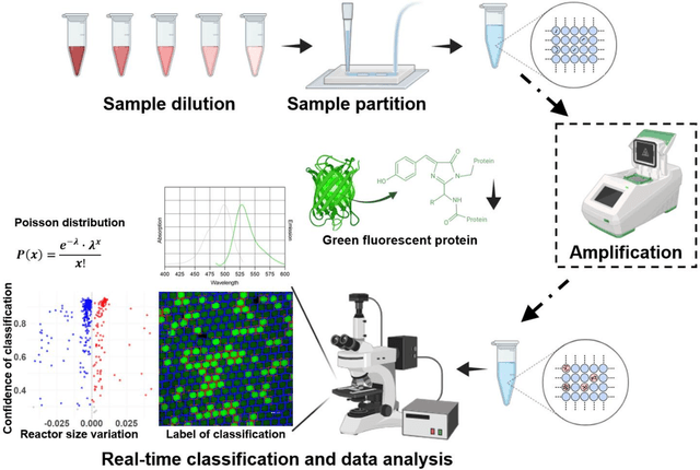 Figure 1 for Deep Learning Approach for Large-Scale, Real-Time Quantification of Green Fluorescent Protein-Labeled Biological Samples in Microreactors