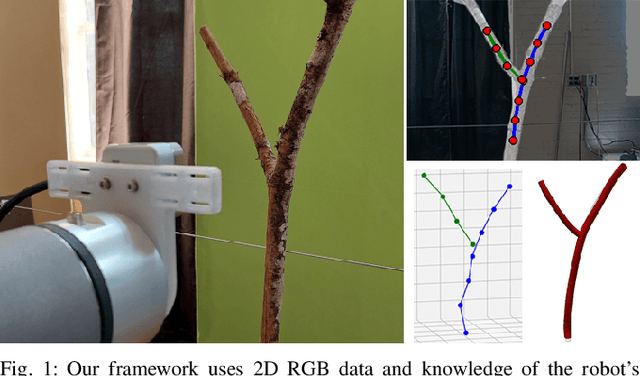 Figure 1 for A real-time, hardware agnostic framework for close-up branch reconstruction using RGB data
