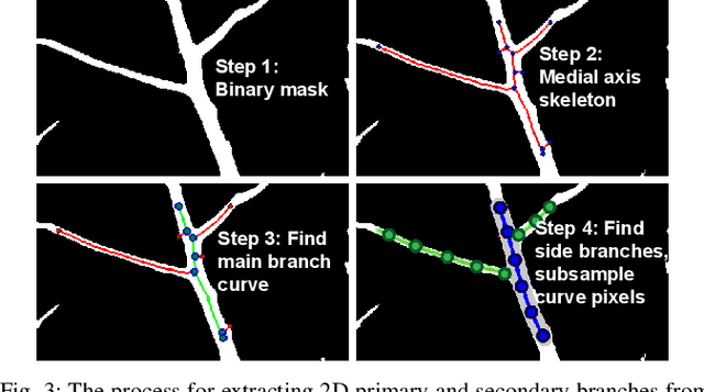Figure 3 for A real-time, hardware agnostic framework for close-up branch reconstruction using RGB data