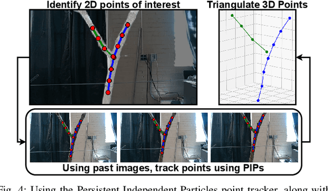 Figure 4 for A real-time, hardware agnostic framework for close-up branch reconstruction using RGB data
