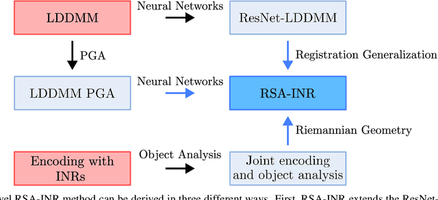 Figure 1 for RSA-INR: Riemannian Shape Autoencoding via 4D Implicit Neural Representations