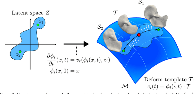 Figure 3 for RSA-INR: Riemannian Shape Autoencoding via 4D Implicit Neural Representations