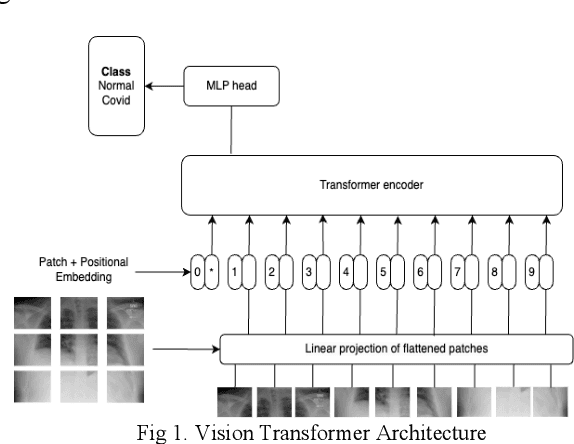 Figure 1 for Study of Vision Transformers for Covid-19 Detection from Chest X-rays