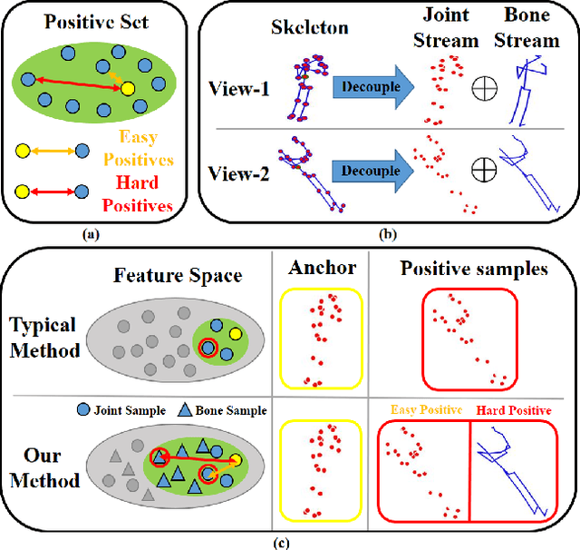 Figure 1 for Cross-Stream Contrastive Learning for Self-Supervised Skeleton-Based Action Recognition