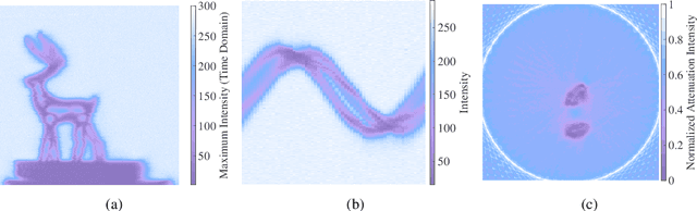 Figure 4 for Breaking the Limitations with Sparse Inputs by Variational Frameworks (BLIss) in Terahertz Super-Resolution 3D Reconstruction