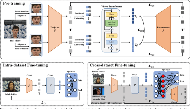 Figure 3 for Self-Supervised Transformer with Domain Adaptive Reconstruction for General Face Forgery Video Detection