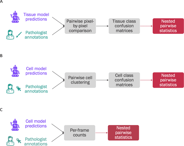 Figure 2 for Improved statistical benchmarking of digital pathology models using pairwise frames evaluation