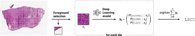 Figure 4 for The NCI Imaging Data Commons as a platform for reproducible research in computational pathology