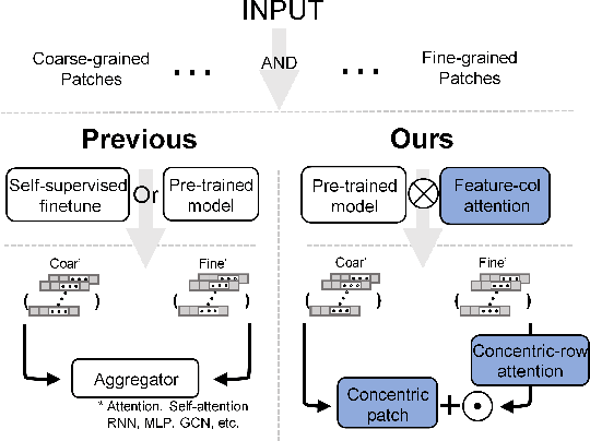 Figure 1 for Towards Efficient Information Fusion: Concentric Dual Fusion Attention Based Multiple Instance Learning for Whole Slide Images