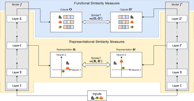 Figure 1 for Similarity of Neural Network Models: A Survey of Functional and Representational Measures