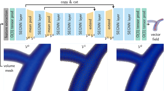 Figure 1 for SE(3) symmetry lets graph neural networks learn arterial velocity estimation from small datasets