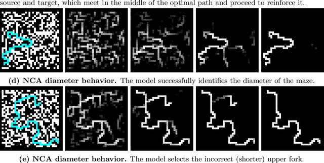 Figure 4 for Pathfinding Neural Cellular Automata