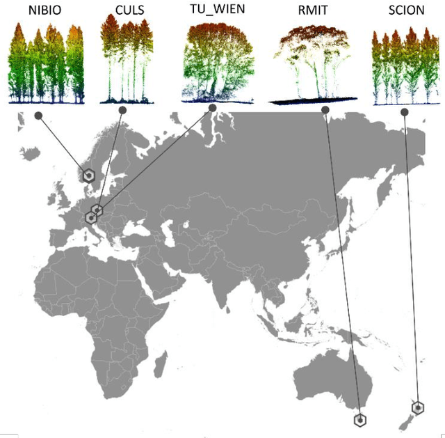 Figure 1 for FOR-instance: a UAV laser scanning benchmark dataset for semantic and instance segmentation of individual trees