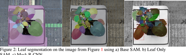 Figure 4 for Leaf Only SAM: A Segment Anything Pipeline for Zero-Shot Automated Leaf Segmentation