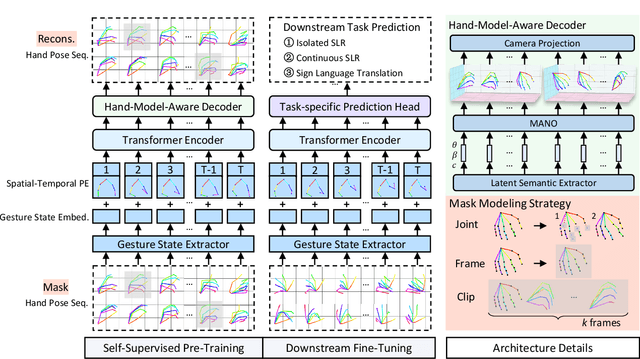 Figure 3 for SignBERT+: Hand-model-aware Self-supervised Pre-training for Sign Language Understanding