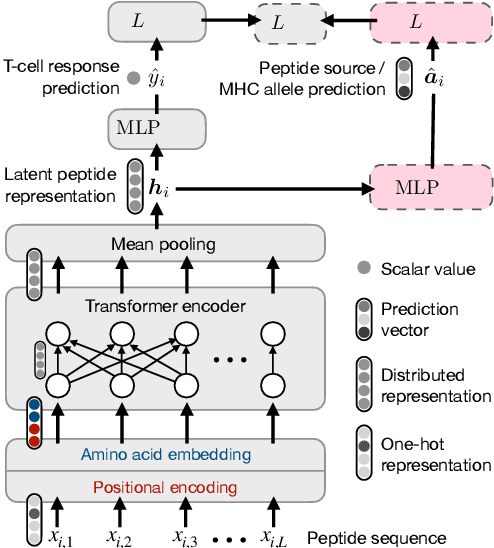 Figure 3 for Transfer Learning for T-Cell Response Prediction