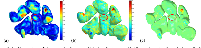 Figure 4 for 3D Patient-specific Modelling and Characterisation of Muscle-Skeletal Districts