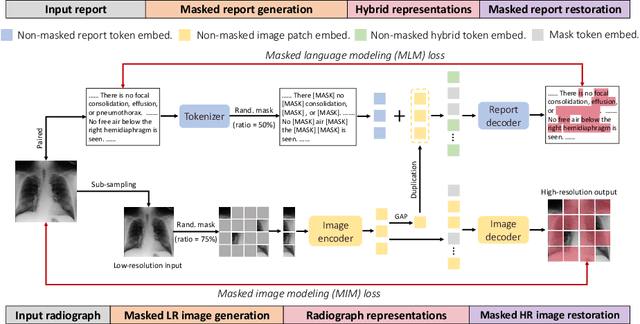 Figure 3 for Advancing Radiograph Representation Learning with Masked Record Modeling