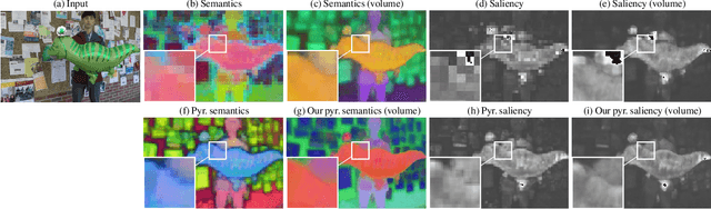 Figure 3 for Semantic Attention Flow Fields for Dynamic Scene Decomposition