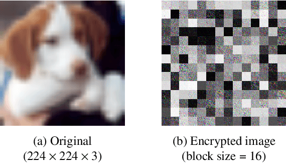 Figure 3 for Combined Use of Federated Learning and Image Encryption for Privacy-Preserving Image Classification with Vision Transformer