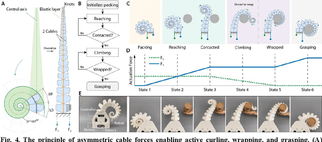 Figure 4 for Bioinspired Soft Spiral Robots for Versatile Grasping and Manipulation