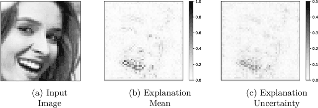 Figure 1 for Uncertainty Quantification for Gradient-based Explanations in Neural Networks
