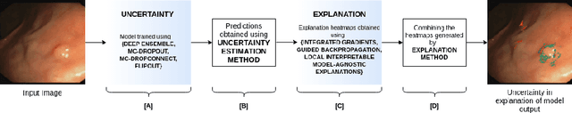 Figure 2 for Uncertainty Quantification for Gradient-based Explanations in Neural Networks