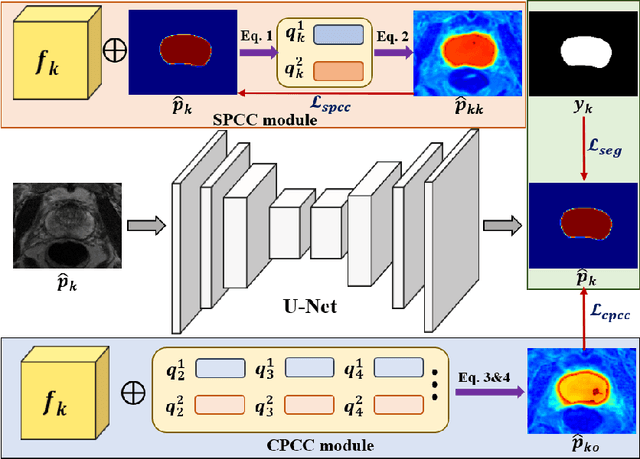 Figure 1 for Self-aware and Cross-sample Prototypical Learning for Semi-supervised Medical Image Segmentation
