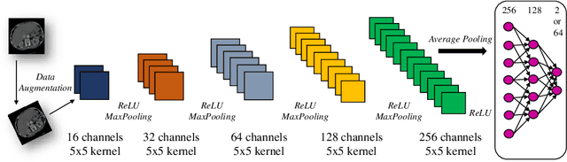 Figure 3 for Weakly-supervised positional contrastive learning: application to cirrhosis classification