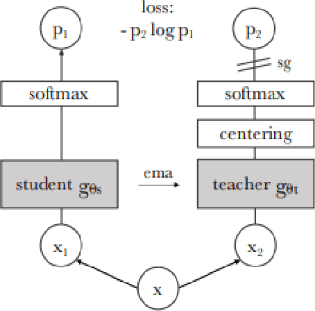 Figure 4 for LowDINO -- A Low Parameter Self Supervised Learning Model