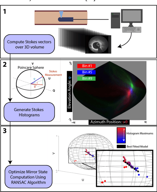Figure 1 for Single-Input Polarization-Sensitive Optical Coherence Tomography Through a Catheter