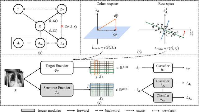 Figure 3 for On Fairness of Medical Image Classification with Multiple Sensitive Attributes via Learning Orthogonal Representations