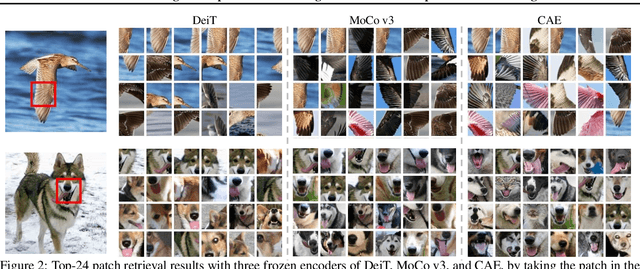 Figure 3 for Understanding Self-Supervised Pretraining with Part-Aware Representation Learning