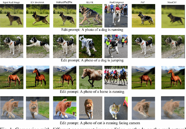 Figure 1 for KV Inversion: KV Embeddings Learning for Text-Conditioned Real Image Action Editing
