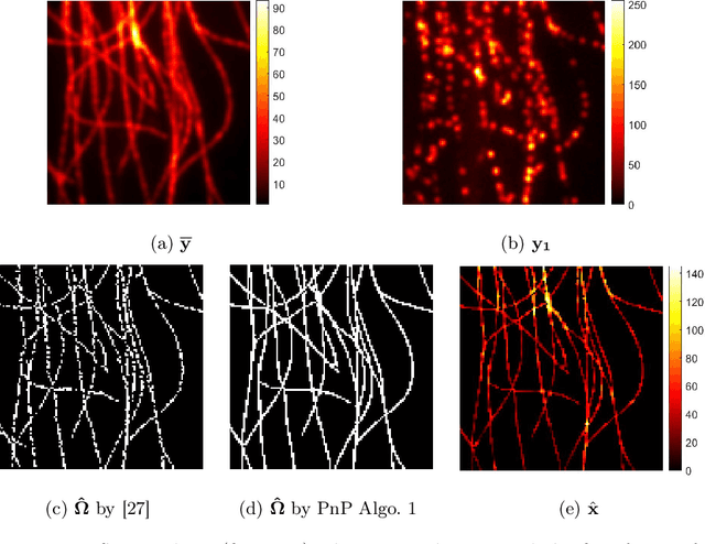 Figure 4 for Fluctuation-based deconvolution in fluorescence microscopy using plug-and-play denoisers