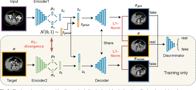 Figure 3 for Deep conditional generative models for longitudinal single-slice abdominal computed tomography harmonization
