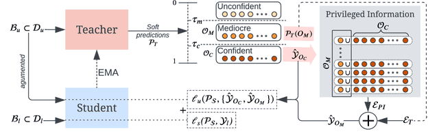 Figure 1 for Pseudo-Labeling Enhanced by Privileged Information and Its Application to In Situ Sequencing Images