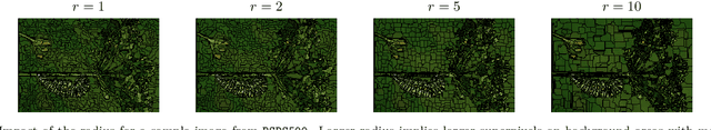 Figure 3 for Superpixels algorithms through network community detection